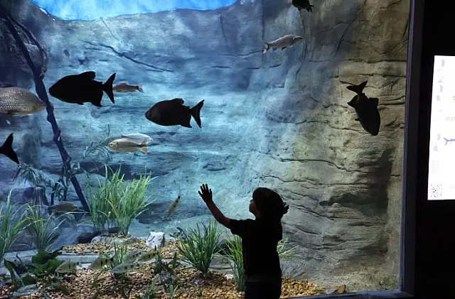 Bioparque Pantanal celebra a marca de 1 milhão de visitantes