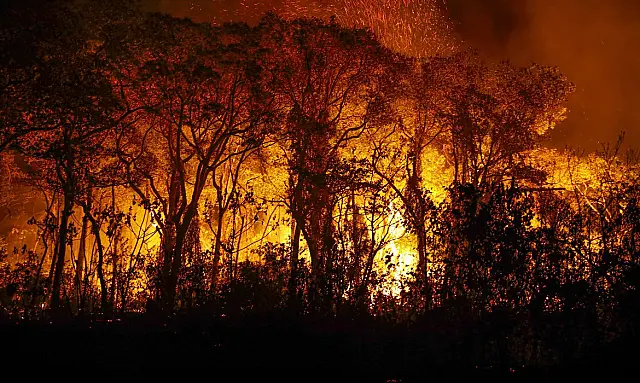 Focos de incêndio no Pantanal estão sob investigação da PF