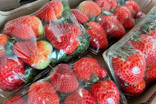 Preço do morango cai 16,67% na CEASA-MS após pico de vendas