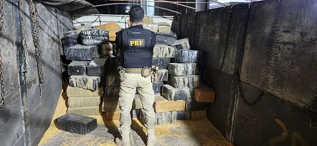 Motorista é preso com 3,3 toneladas de maconha escondidas em carga de milho na BR-163