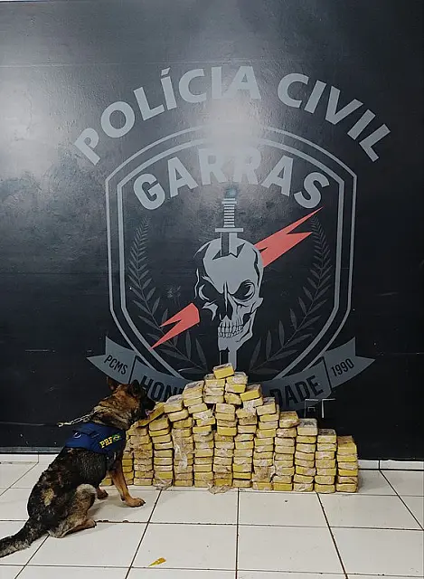 Com ajuda de cães farejadores PRF e GARRAS apreende 126,9 Kg de cocaína