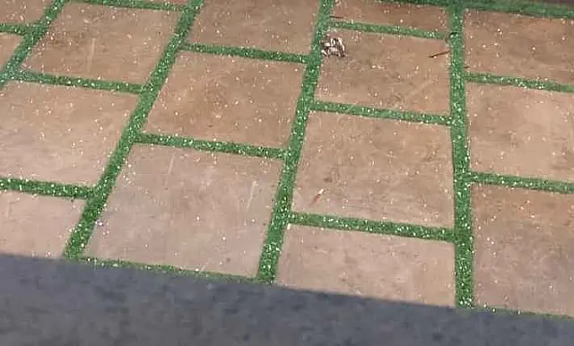 Deu a louca no clima: chuva de granizo faz temperatura despencar na Fronteira