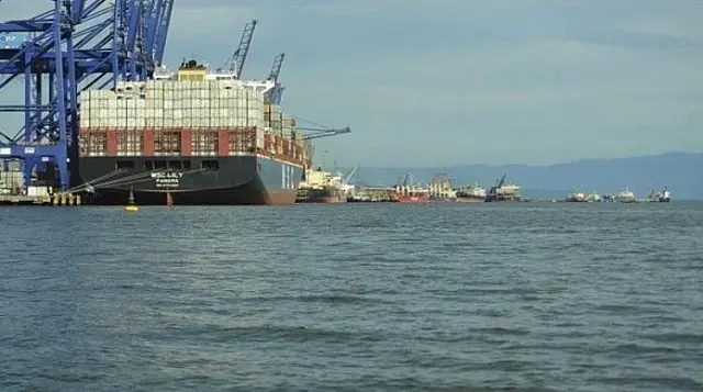 Sete frigoríficos de MS estão exportando para o Egito