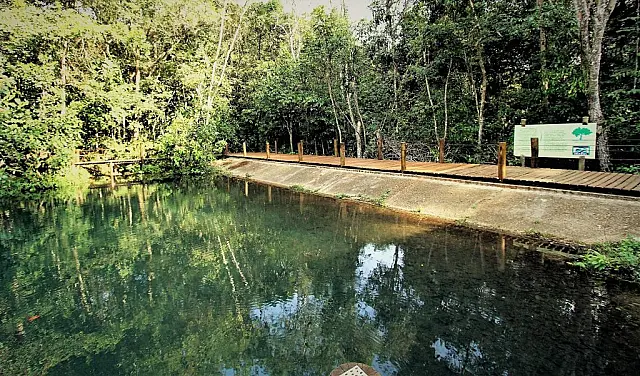Parques estaduais preservam nascentes d’água que contam história de Campo Grande