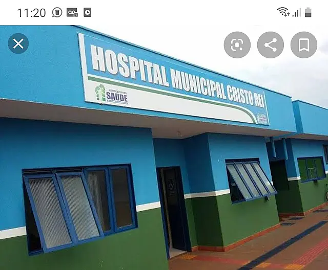 Criança de 8 anos morre após cair de pé de manga