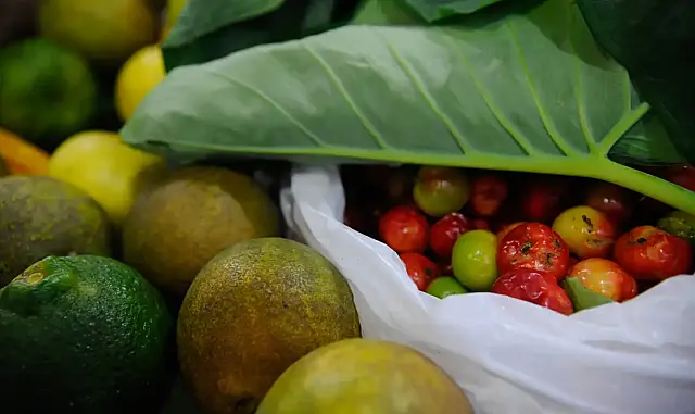 Registro de novos agrotóxicos segue em alta no Brasil, diz Mapa