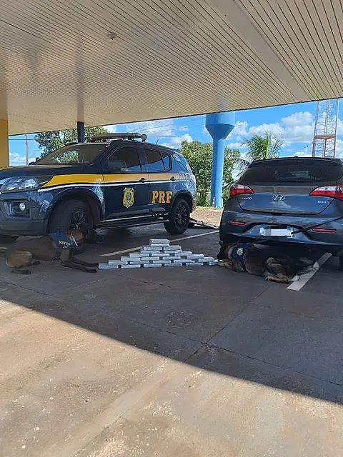 PRF apreende 25,5kg de cocaína em Campo Grande