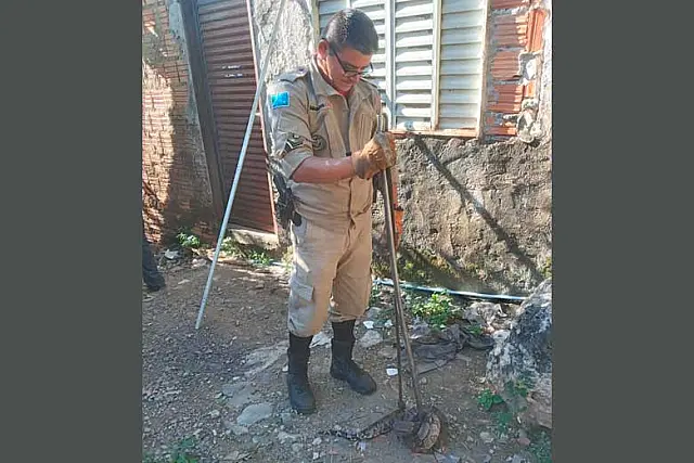 Cobra é capturada dentro de casa em Corumbá