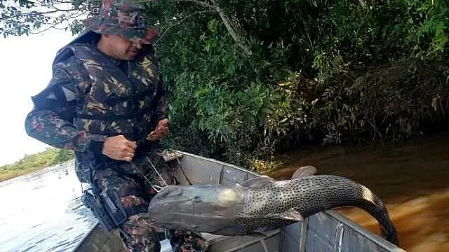 Fiscalização remove petrechos ilegais durante fiscalização no Rio Dourados