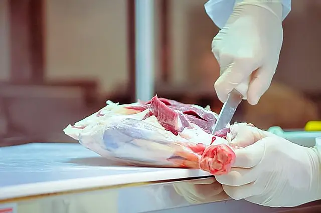 Exportações de proteína animal em MS ultrapassam 20% no primeiro trimestre