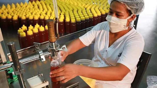 Apicultura em MS é reconhecida por qualidade e caminha para produção orgânica