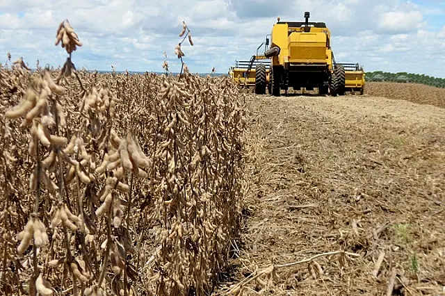 Colheita da soja avança em Mato Grosso do Sul e atinge 34,5% da área