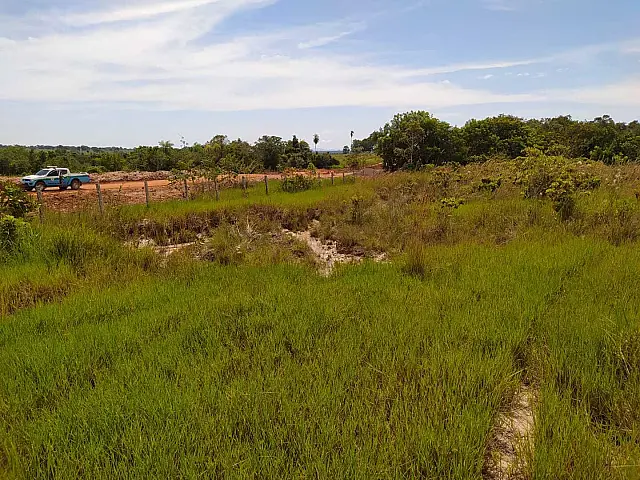 PMA autua infratora aquidauanense por degradação ambiental