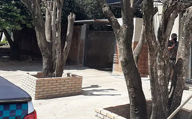 PMA autua comerciante no bairro Alto por cortar árvores sem autorização ambiental