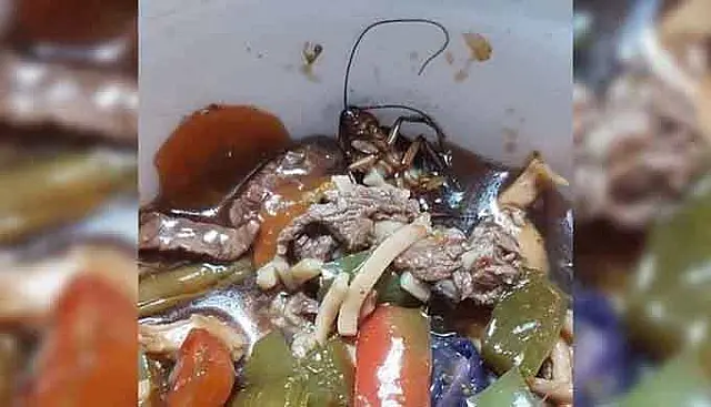 Cliente recebe barata no yakisoba e denuncia sobaria para Vigilância Sanitária