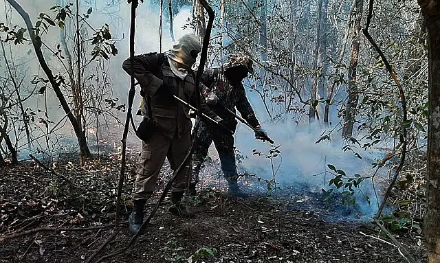 Entenda as linhas de investigação dos incêndios florestais no país