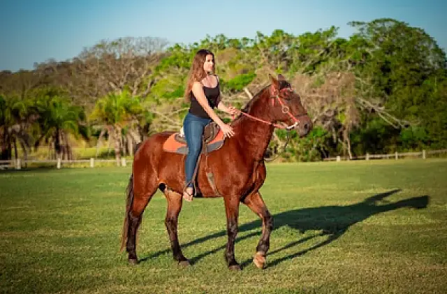 Bonito prepara o 1º Carnalaço: festa integra rodeio e folia de 12 a 15 de fevereiro