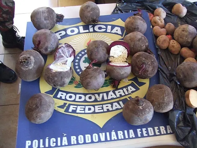 BR-262: Boliviana é presa com cocaína escondida em beterrabas