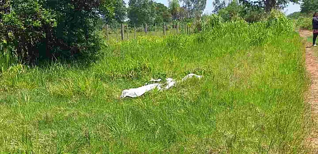 Duas pessoas são mortas a tiros em fazenda próxima a Bela Vista