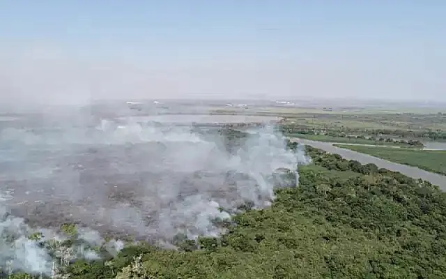 Instituto prorroga suspensão de queimas controladas no Pantanal