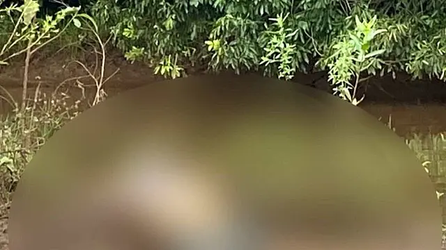 Corpo em decomposição é encontrado em rio de Ribas do Rio Pardo