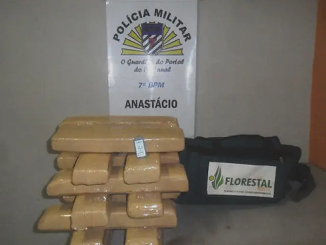Polícia Militar encontra 14,5 quilos de maconha em terreno baldio