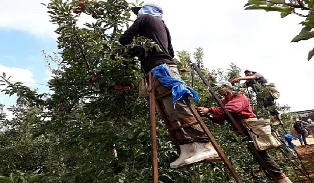 Mais de 100 mil trabalhadores foram atendidos pela Funtrab em 2021