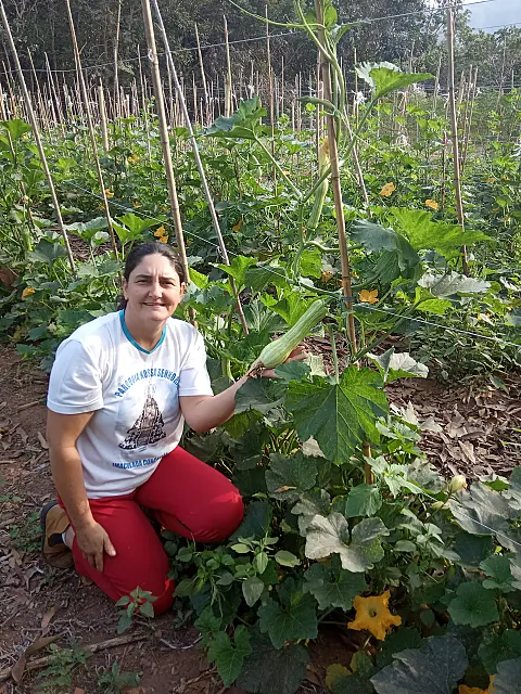 Dedicação de Eliani elevou produção de abobrinha de 8 para 50 kg semanais