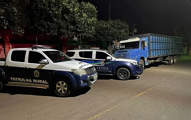 PM recupera bovinos arrematados mediante golpe em leilão