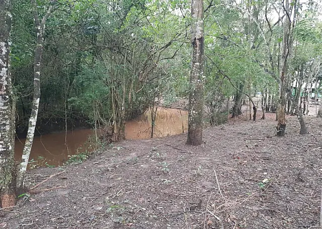 Dono de sítio em Bonito é multado em R$ 5 mil por desmatar e construir curral as margens de córrego