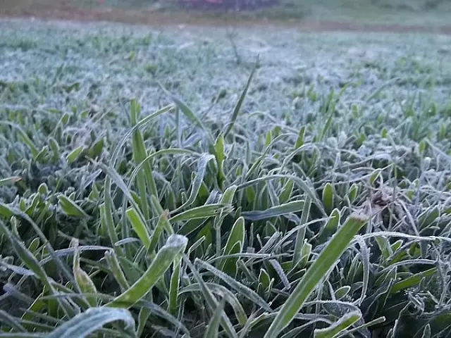 Domingo bastante frio e com previsão de temperatura mínima de 10 graus