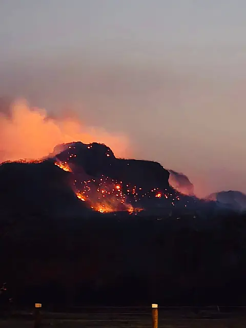 Grande incêndio às margens da BR-262 em Anastácio traz preocupação
