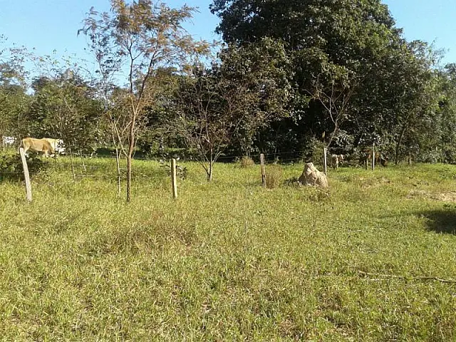 Homem é encontrado morto em chácara do assentamento Indaiá