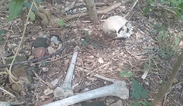 Trabalhador encontra ossada humana às margens de rodovia