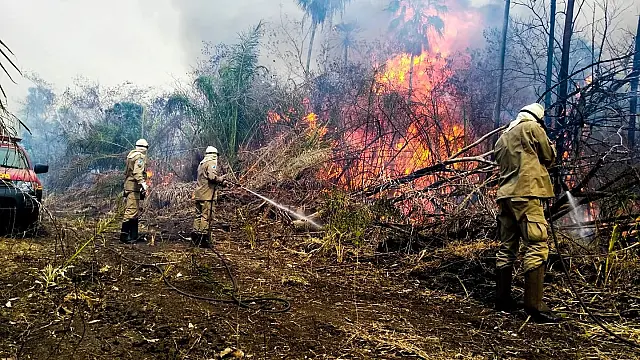 Corpo de Bombeiros encerra Operação Hefesto amanhã