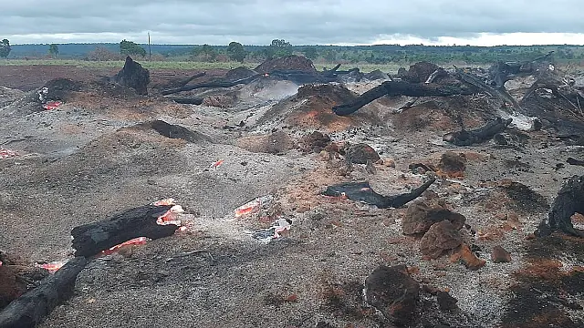 PMA autua infrator por incêndio em leiras