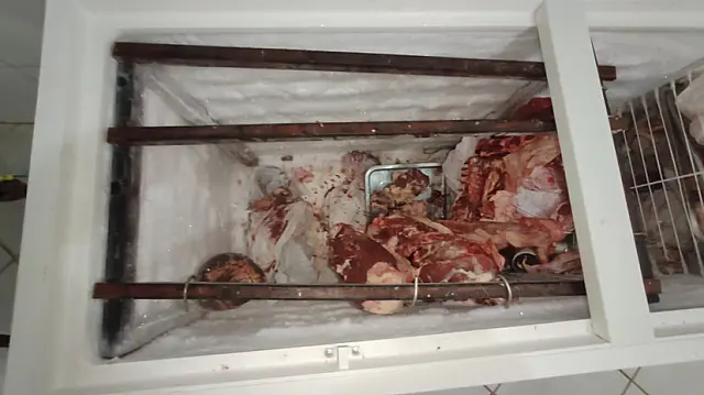 Ação da Polícia Civil apreende carnes de abate ilegal no interior do MS