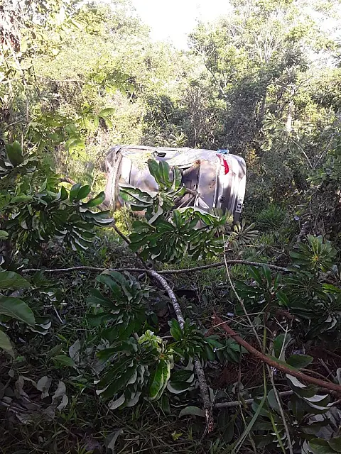 Dois sobrevivem após carro passar por cima de cerca, capotar e parar a 25 metros dentro de mata