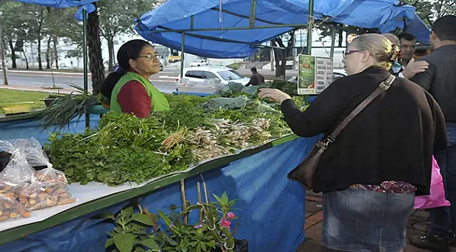 Cerca de 50% de recursos do Pronaf já foram utilizados por agricultores familiares no MS