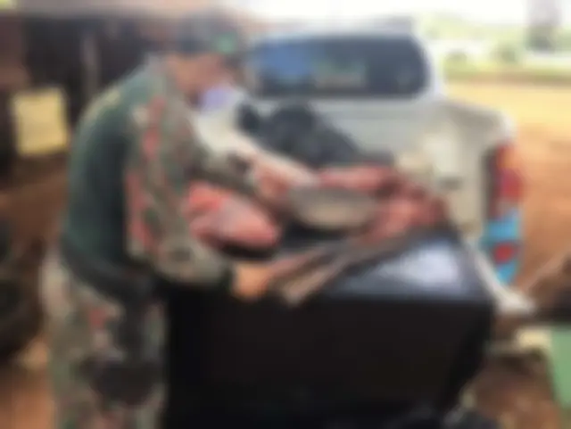 Homem é preso pela PMA por caça após abater cutia e cateto em Bonito
