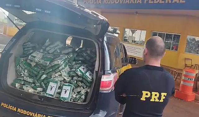 Trio é preso com 285 kg de cocaína em Ponta Porã