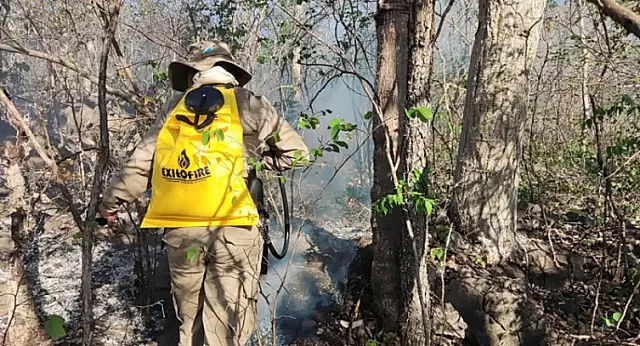 MPMS identifica 40 áreas prioritárias para prevenção a incêndios em Aquidauana
