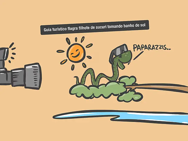 Paparazzi