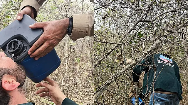 Bombeiros utilizam drone para localizar homem desaparecido no Pantanal