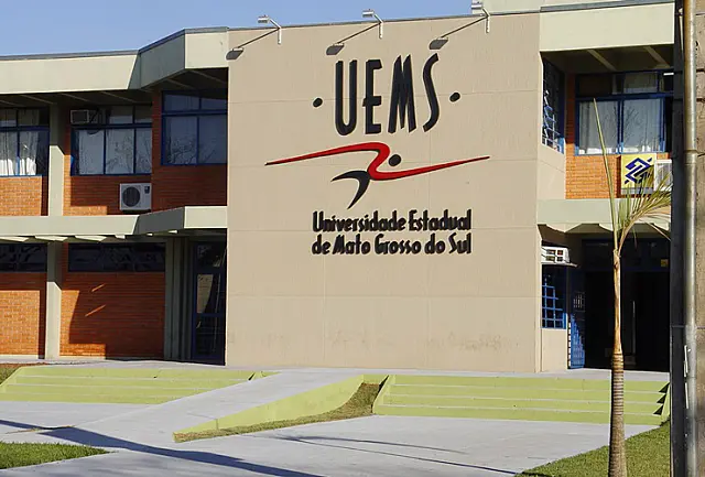 PMA investiga extração ilegal de madeira em área de preservação da UEMS