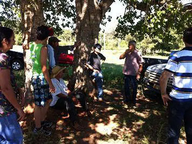 Indígenas continuam com manifestação em Miranda