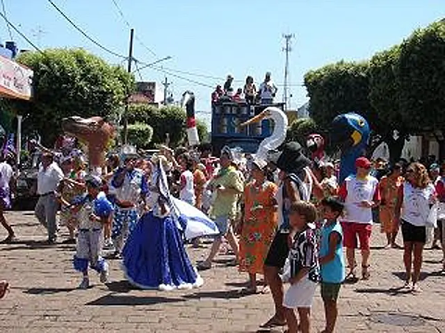 Bloco Curicaca da Madrugada sai pelas ruas neste domingo de carnaval