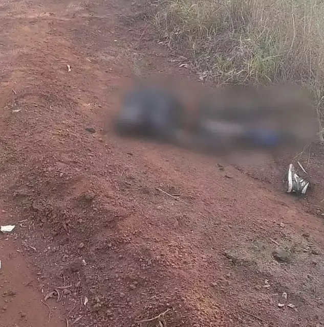 Corpo carbonizado é encontrado em estrada de assentamento em Sidrolândia