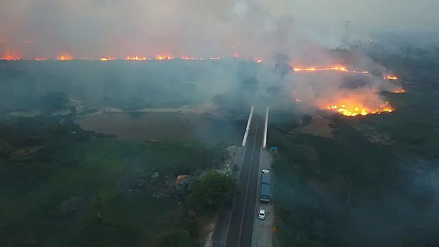 Após queimadas em MS, calendário de vacinação contra aftosa é prorrogado