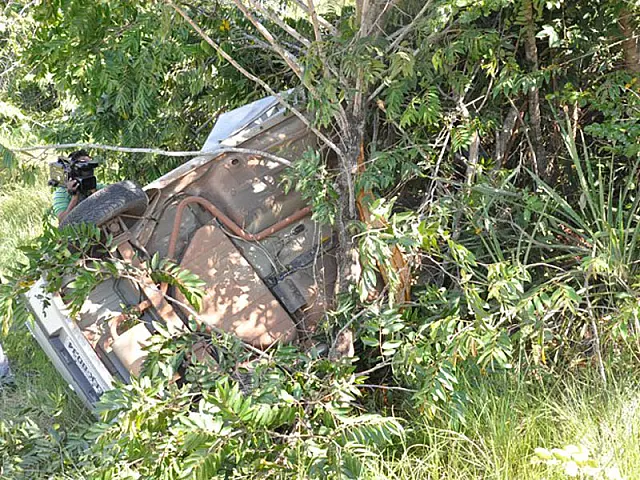 Condutor bate carro em árvore após cair em barranco na BR-262